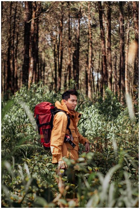 A man hikes through a dense forest with a red back