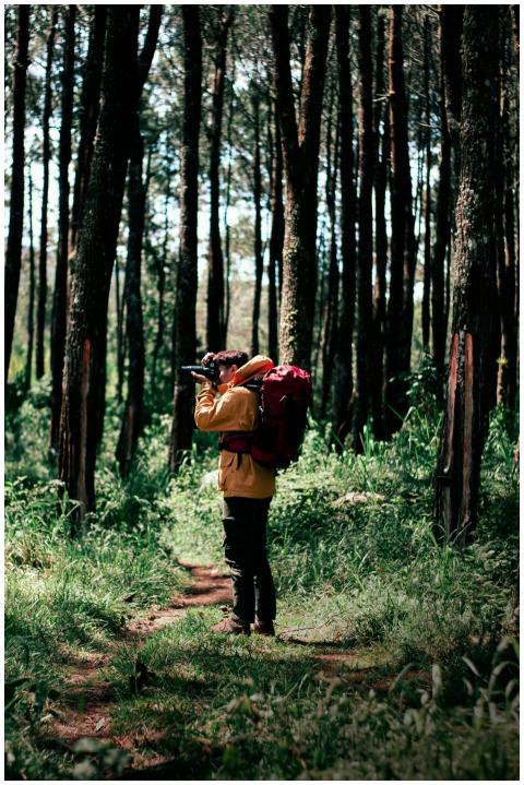 A man in a yellow jacket photographs nature along