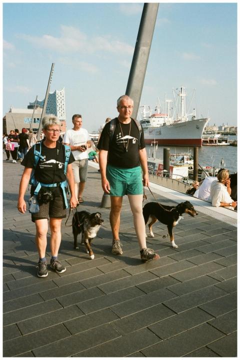 Couple walking dogs by the harbor with Elbphilharm