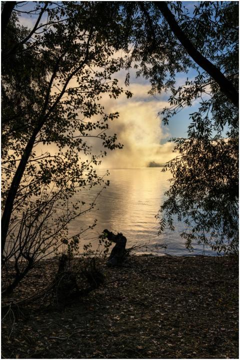 Serene Lakeside Dawn Mist