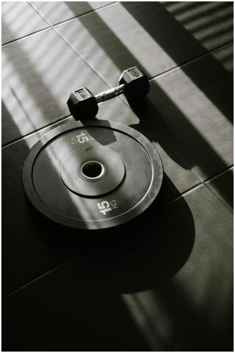 A dumbbell and 15kg weight plate on a gym floor, h