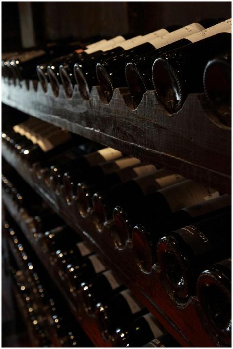 A dimly lit wine cellar showcasing rows of wine bo