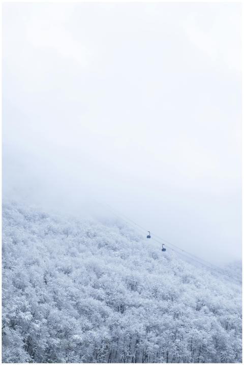 Snow-covered forest with cable cars ascending thro
