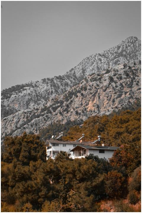 A picturesque house nestled among lush trees at th