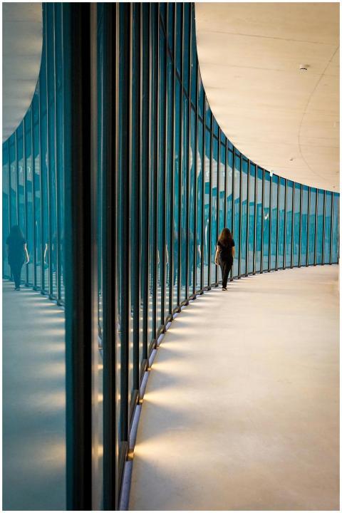 Silhouette Woman Walking Modern