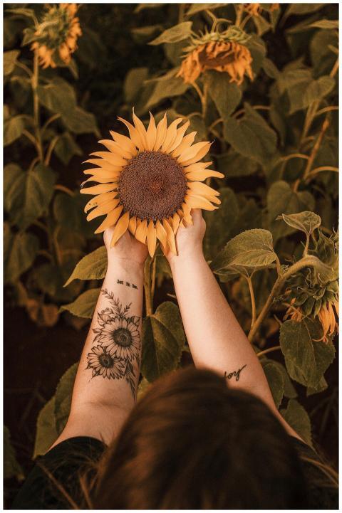 A woman with tattoos holding a sunflower in a bloo