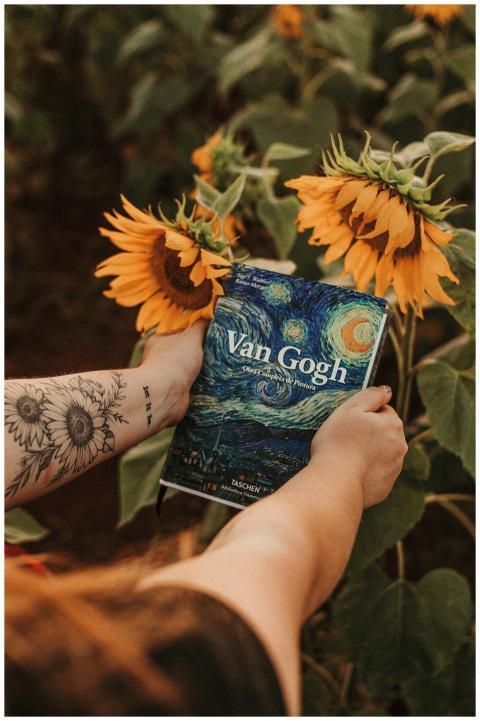 A person holds a Van Gogh book amidst blooming sun