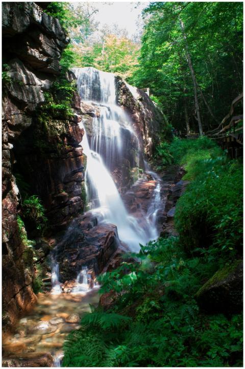 A serene waterfall amid lush greenery in Lincoln,