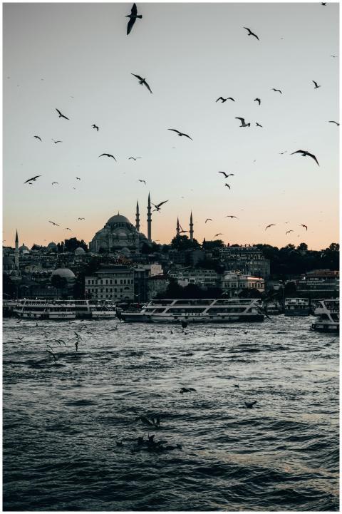 Seagulls fly over the Bosphorus with the Istanbul