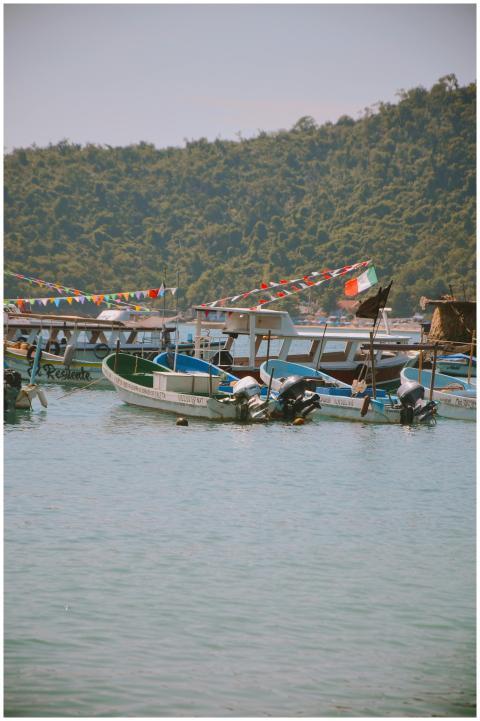 Colorful boats in a serene harbor with lush hills