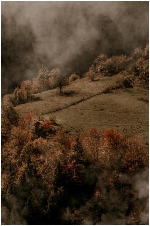 A misty autumn scene in a forested valley with col