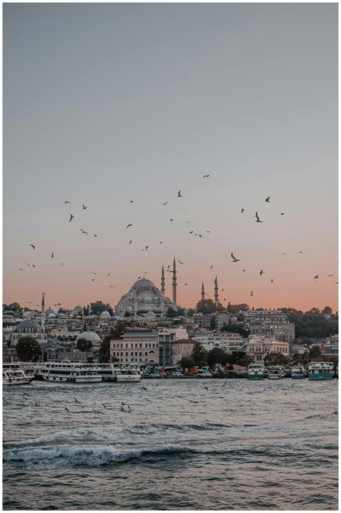 Beautiful Istanbul skyline at dusk with seabirds f