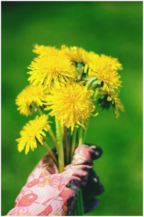 A hand in floral gloves holding a vibrant bouquet