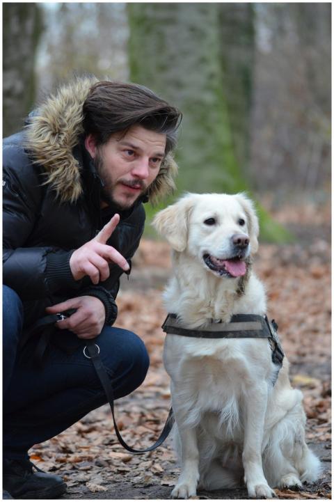 A man interacts with a Golden Retriever dog in a v
