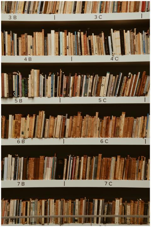 A well-organized bookshelf in a library with assor