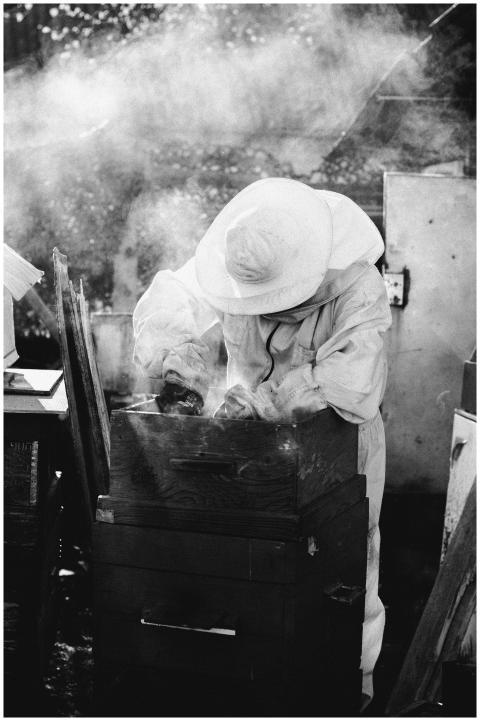 A beekeeper examines a hive while wearing protecti