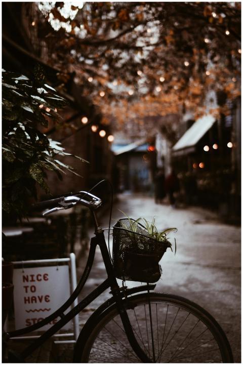 A vintage bicycle with a basket under warm lights