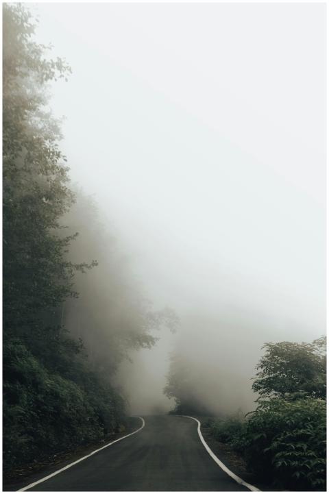 Serene misty road winding through dense forest, pe