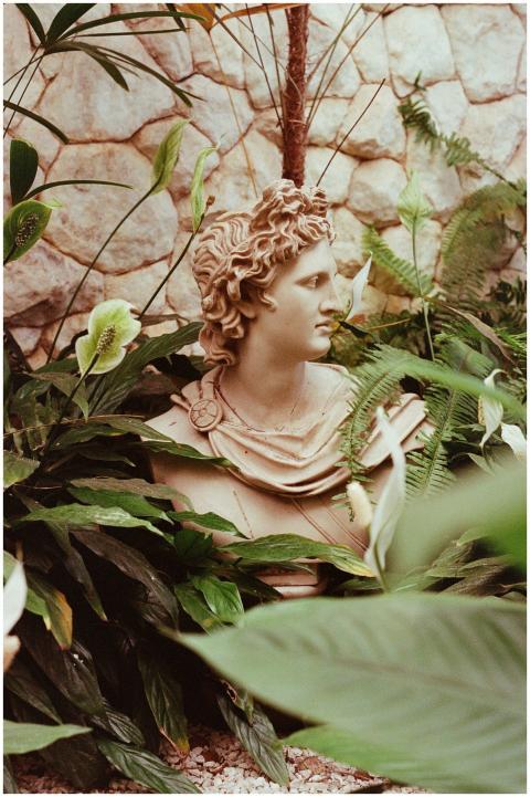 A beautifully crafted Greek statue nestled among l