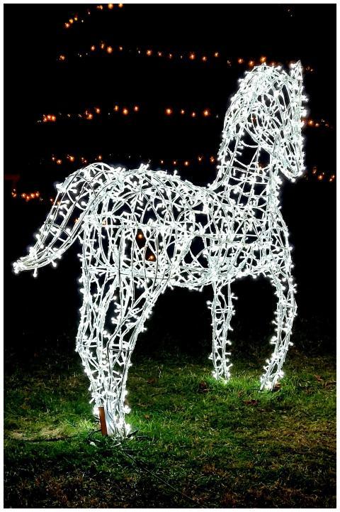 A glowing horse-shaped light sculpture set on gras