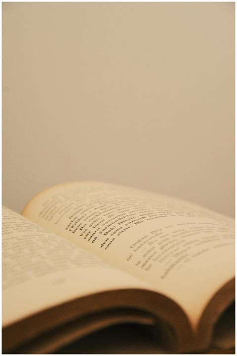 Open book with printed words, photographed in warm