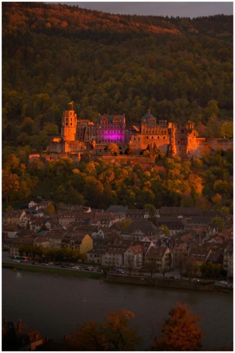 Heidelberg Castle illuminated at dusk with a histo