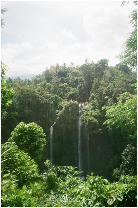 Beautiful waterfall surrounded by lush tropical ra