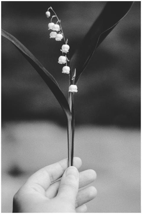 A grayscale close-up of a hand holding a delicate