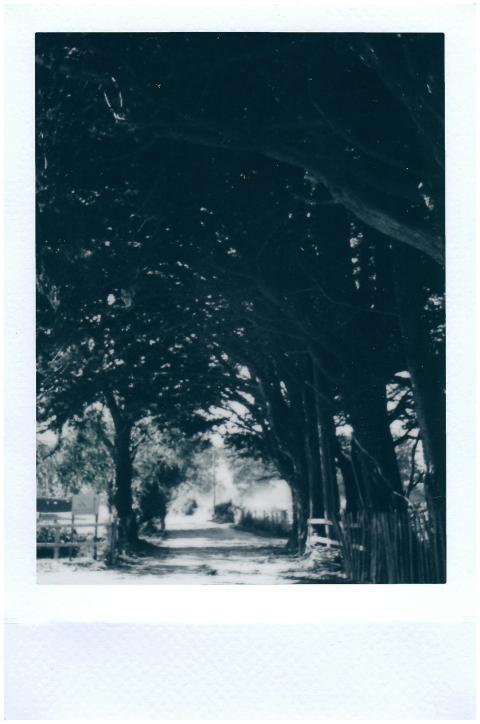 Black and white Polaroid photo capturing a nostalg