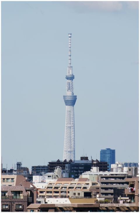 View of the Tokyo Skytree with surrounding citysca