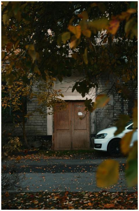 Rustic wooden door surrounded by autumn leaves and