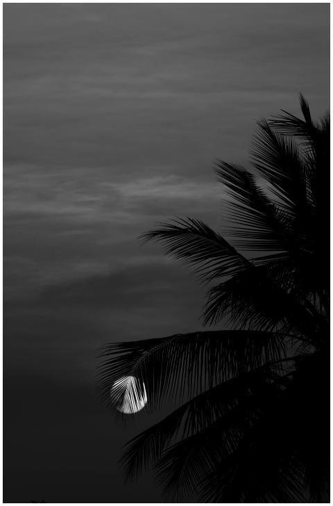 Black and white night scene featuring a silhouette