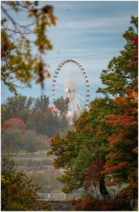 A stunning Ferris wheel towers above colorful autu