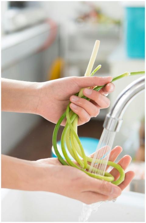 Close-up of hands washing green vegetables under a