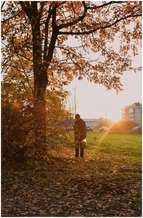 A person enjoying a peaceful walk under the vibran