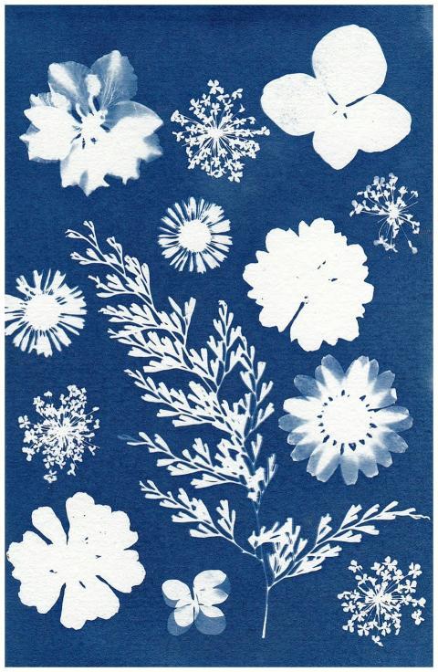 A collection of floral and plant silhouettes in a