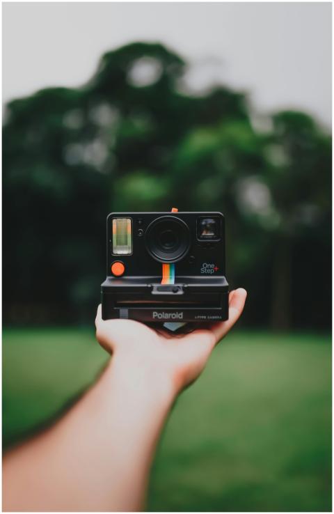 A vintage Polaroid camera held in hand with nature