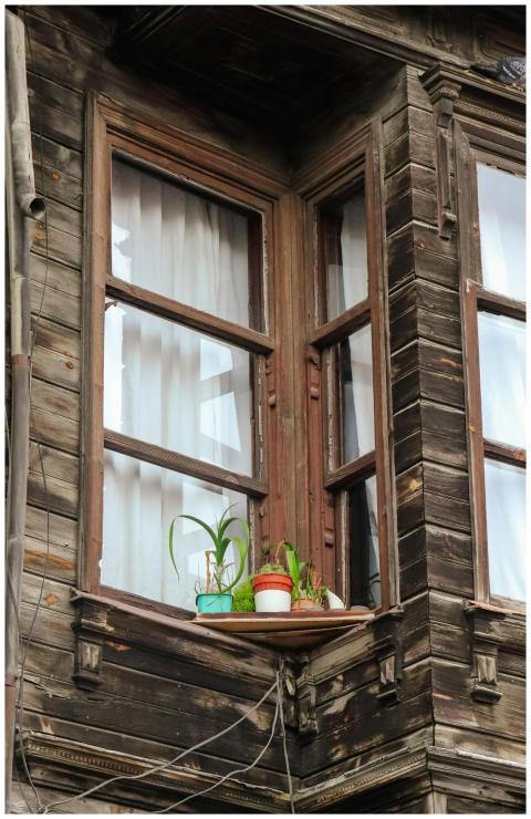 Rustic wooden window with potted plants evokes a v