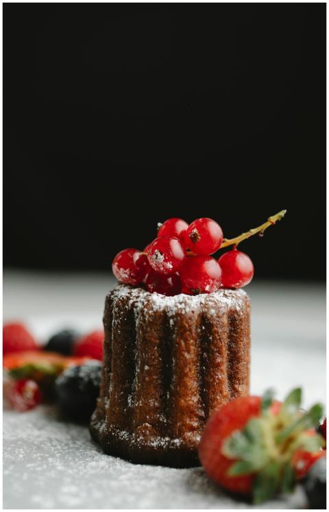 Chocolate cake topped with berries and powdered su
