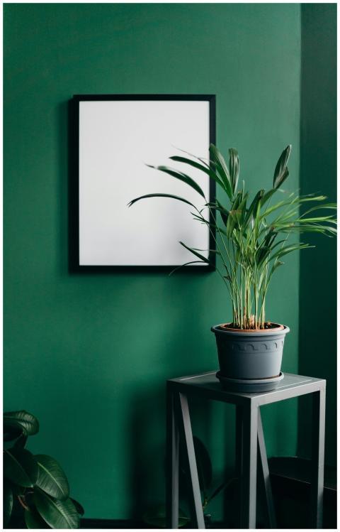 A stylish home interior featuring a blank frame an