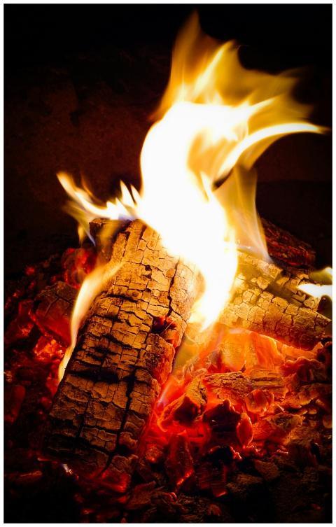 Close-up of a vibrant campfire burning at night in