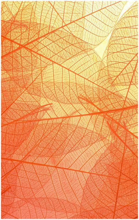 Abstract texture of colorful bright pattern of tra