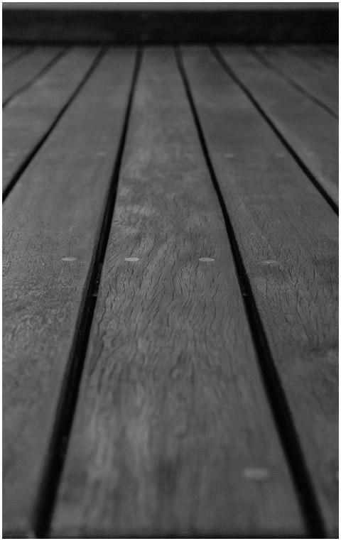 Artistic black and white image showcasing detailed