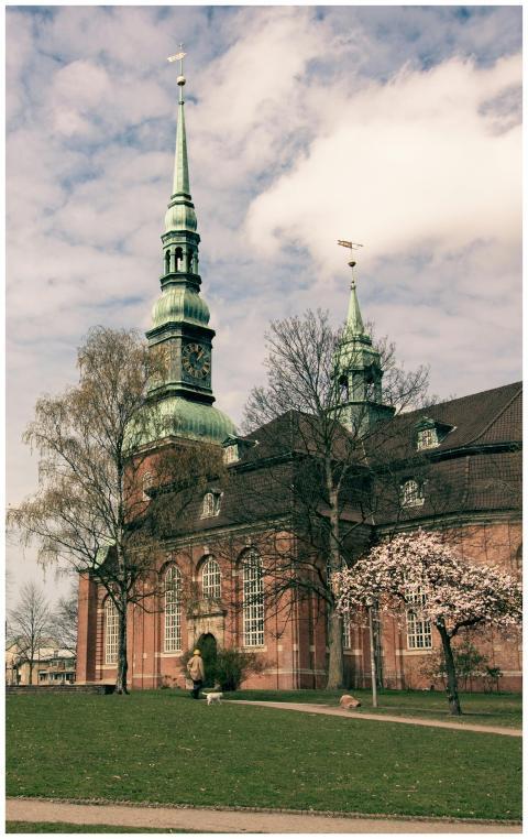 A picturesque church in Hamburg with blooming cher