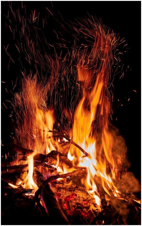 Vibrant Campfire Blaze Against