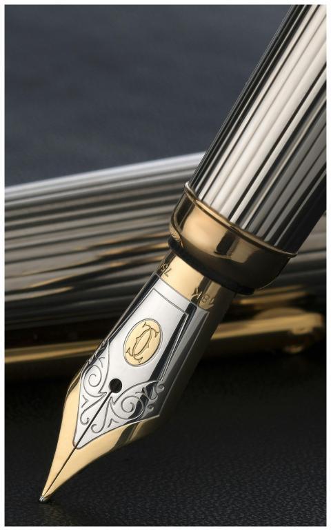 Detailed photograph capturing the elegance and des