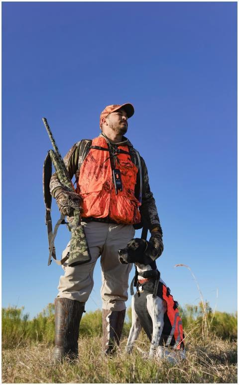 Man in hunting gear with trained pointer dog outdo