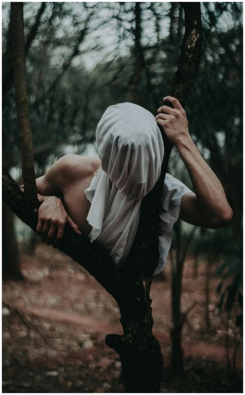 A mysterious figure with a covered face climbs a t