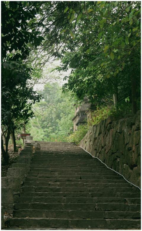 Tranquil stone steps in a lush, green forest setti
