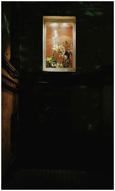 A dimly lit window in Sankt-Peterburg reveals illu